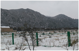 й885566˹(ɷ)޹˾-ٷվ