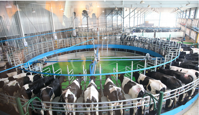 й885566˹(ɷ)޹˾-ٷվ