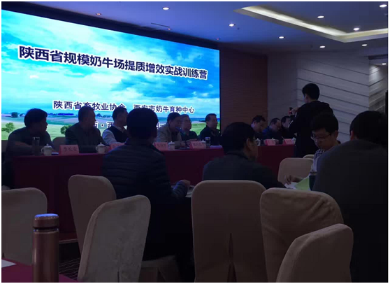 й885566˹(ɷ)޹˾-ٷվ