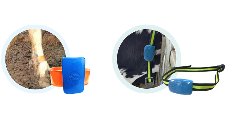 й885566˹(ɷ)޹˾-ٷվ