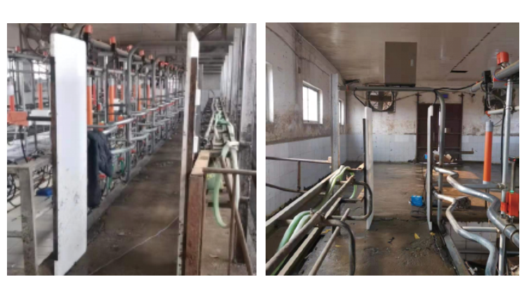 й885566˹(ɷ)޹˾-ٷվ