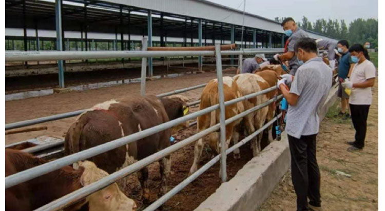 й885566˹(ɷ)޹˾-ٷվ