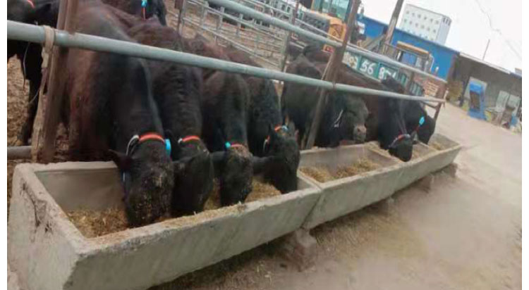 й885566˹(ɷ)޹˾-ٷվ