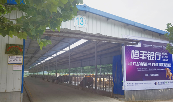 й885566˹(ɷ)޹˾-ٷվ