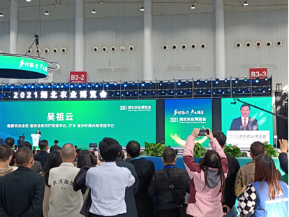 й885566˹(ɷ)޹˾-ٷվ