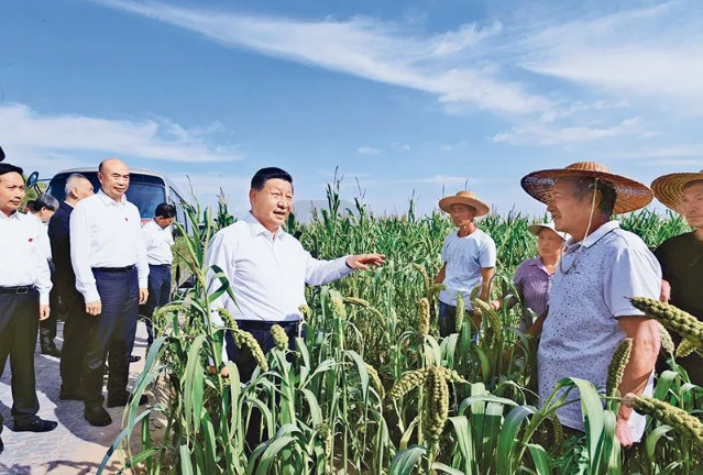 й885566˹(ɷ)޹˾-ٷվ