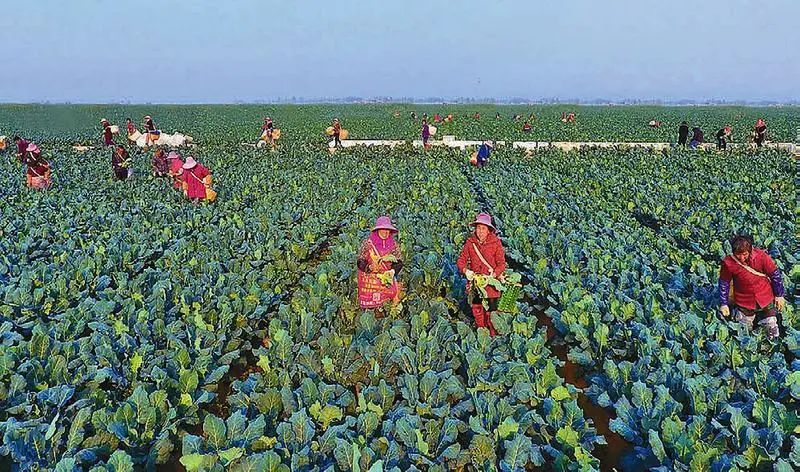 й885566˹(ɷ)޹˾-ٷվ