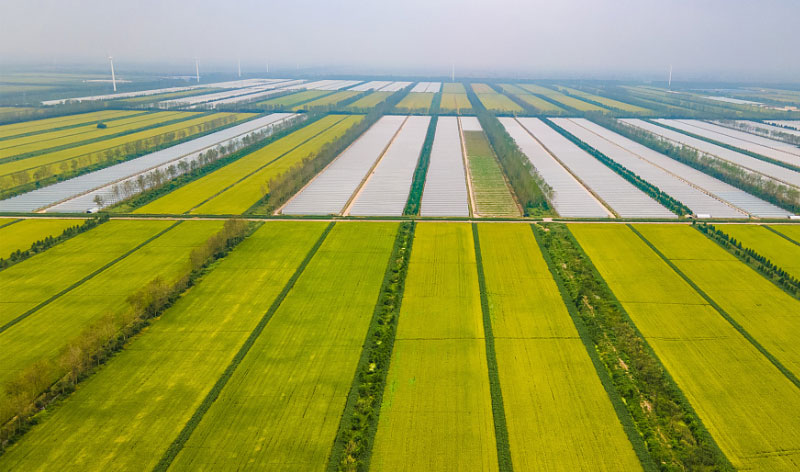 й885566˹(ɷ)޹˾-ٷվ