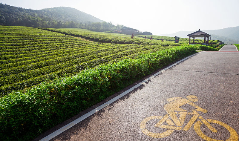 й885566˹(ɷ)޹˾-ٷվ