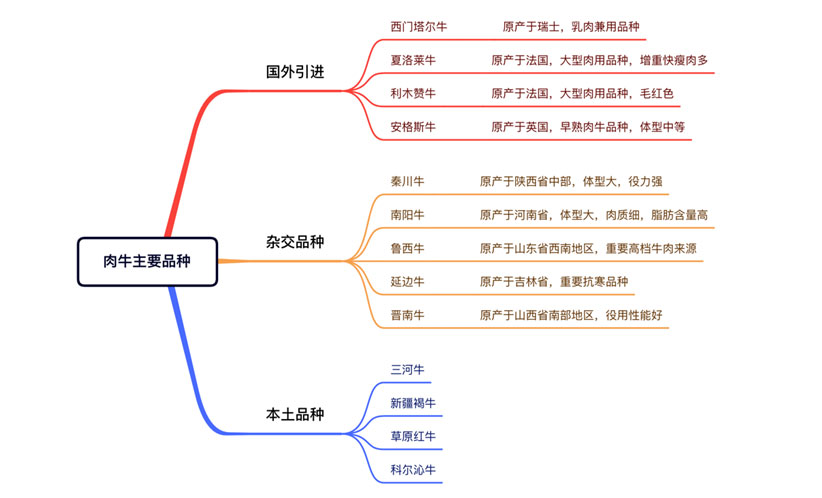 й885566˹(ɷ)޹˾-ٷվ