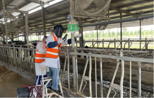 й885566˹(ɷ)޹˾-ٷվ