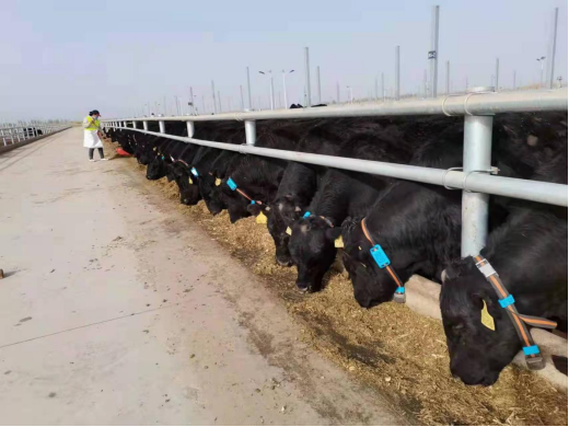 й885566˹(ɷ)޹˾-ٷվ