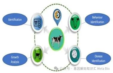 й885566˹(ɷ)޹˾-ٷվ