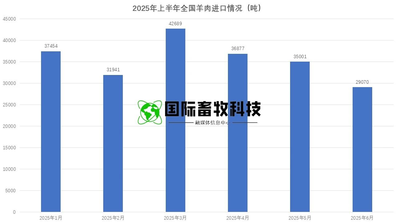 й885566˹(ɷ)޹˾-ٷվ